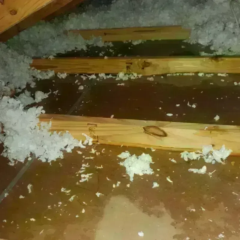 Attic Water Damage in Jackson County, IA