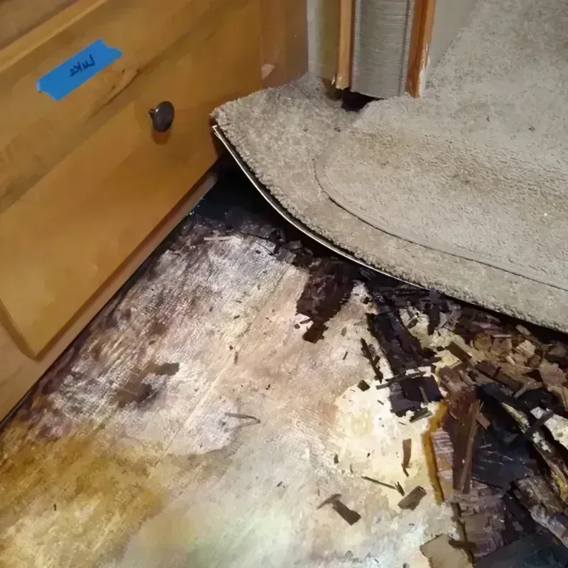 Best Wood Floor Water Damage Service in Jackson County, IA